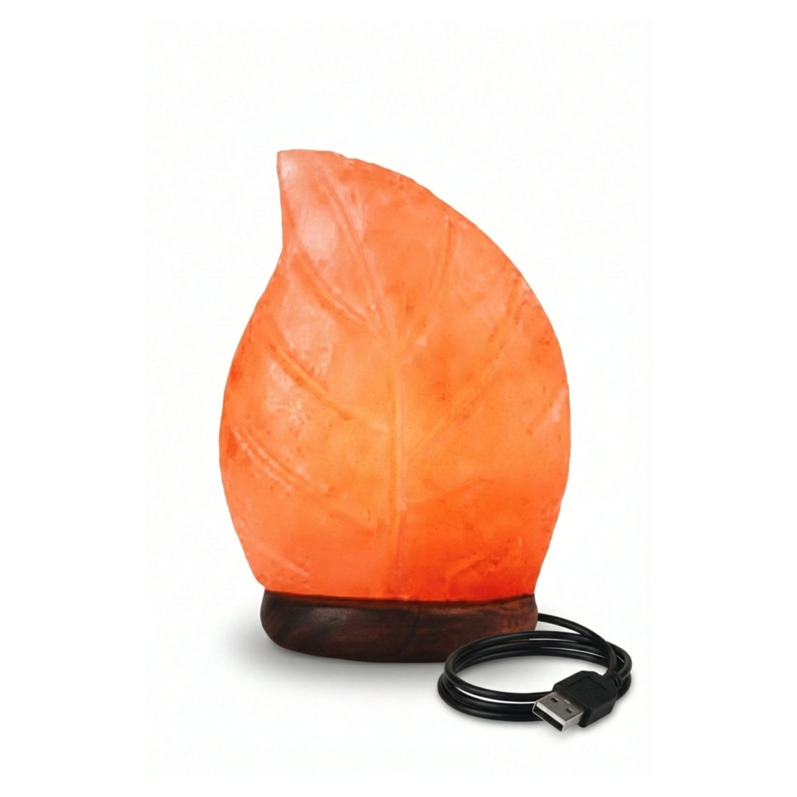 HDT440154-usb-himalayan-salt-leaf-lamp-multicolor-led USB Himalayan Salt Leaf Lamp – Multicolor LED - Image 1